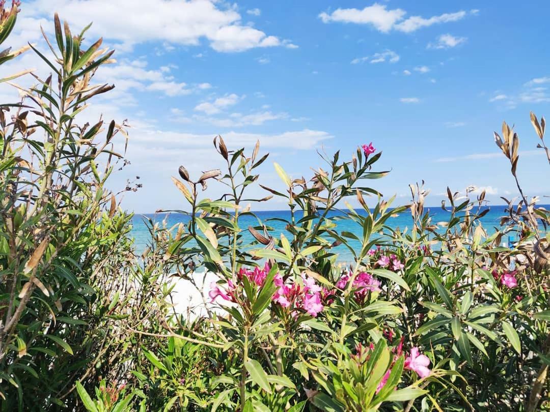 Overlookingsea Lido di Noto 外观 照片